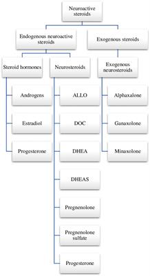 Neurosteroids and Seizure Activity